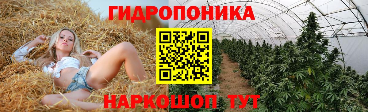 Шишки марихуана марихуана  Вход с VPN  Можайск  МАРИХУАНА Bruce Banner  Бошки Шишки марихуана 